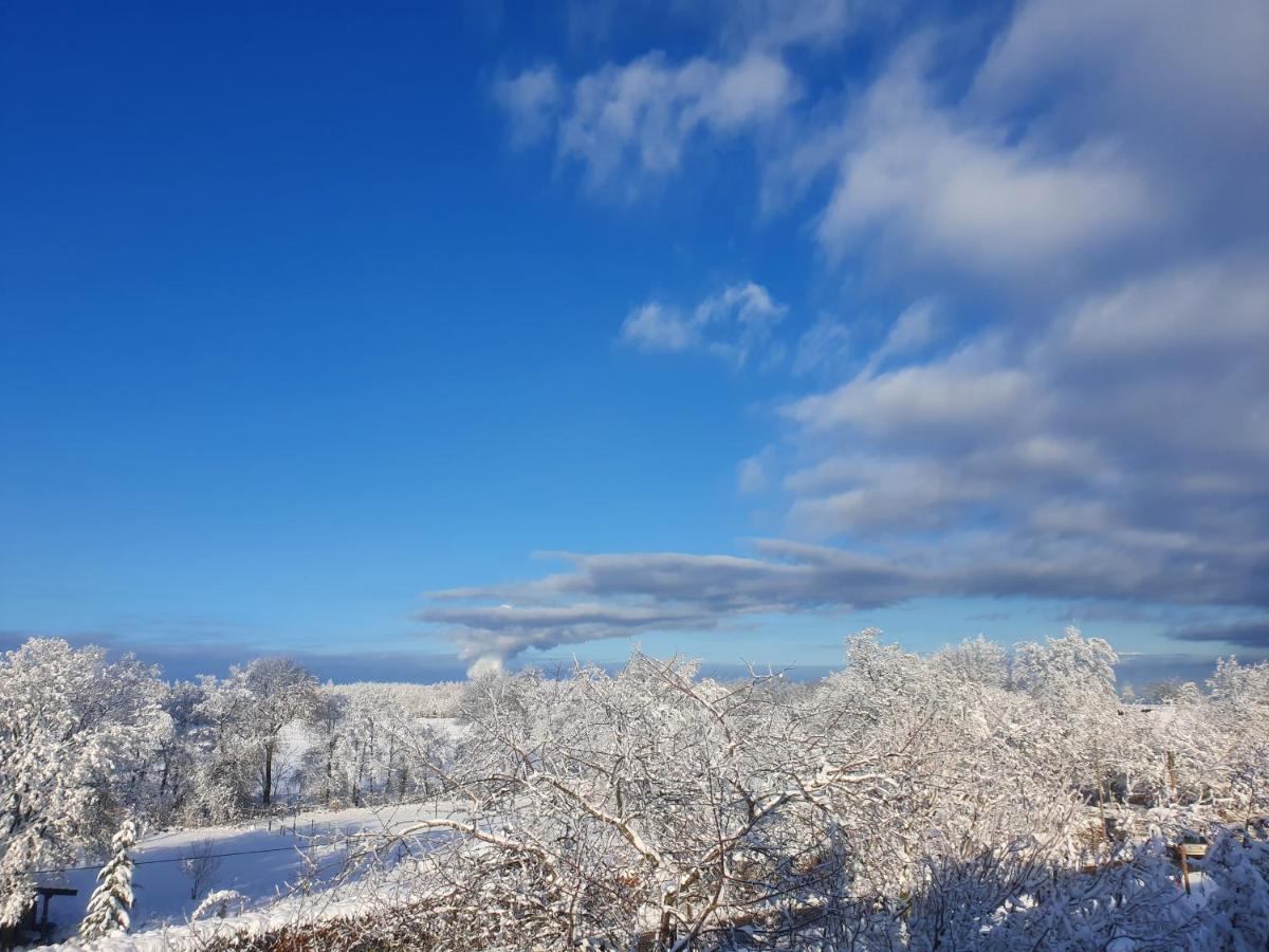 Energetischer Urlaub In Der Eifel Germeter 외부 사진